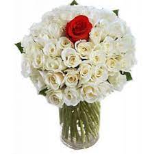 We know that when you decide to send a flower delivery to someone you probably don't want that way, you can have flowers delivered on demand, without any fuss. Krasnodar Thinking Of You Flower Delivery 50 White Roses 1 Red Rose Flower Delivery Krasnodar Online Florist Krasnodar