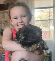 Hi der Mr gotta tweat for mez?