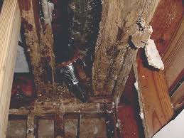 Learn about the signs of termite damage and how to prevent an infestation in your home. Termite Structural Damage Heavy Damage From Termite Infestation