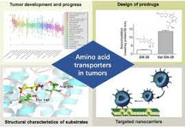 Amino Acid Transporters Emerging Roles In Drug Delivery For Tumor Targeting Therapy Sciencedirect