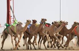 وزير الخارجية السعودي يلتقي نظيره الأمريكي لبحث الشراكة الاستراتيجية. Ø§Ù„Ø§ØªØ­Ø§Ø¯ Ø§Ù„Ø³Ø¹ÙˆØ¯ÙŠ Ù„Ù„Ù‡Ø¬Ù† ÙŠØ·Ù„Ù‚ Ø³Ø¨Ø§Ù‚ Ø§Ù„Ù…ÙØ§Ø±ÙŠØ¯ Ø§Ù„Ø³Ù†ÙˆÙŠ Ø£Ø®Ø¨Ø§Ø± Ø§Ù„Ø³Ø¹ÙˆØ¯ÙŠØ© ØµØ­ÙŠÙØ© Ø¹ÙƒØ§Ø¸