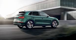 Image result for Azorean Green 2019 Q5