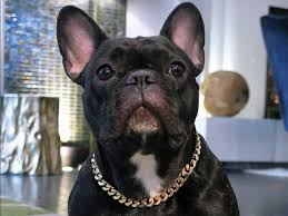 Why settle for something usual and common when you can have something so much better? Salvatore Chain French Bullevard