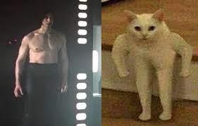 Cat Photoshop Ben Swolo Star Wars Humor Star Wars Kylo Ren Ren Star Wars
