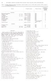 Image result for Brachyachne patentiflora