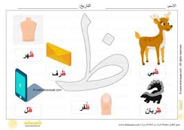 شمسات