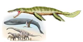 Image result for liopleurodon