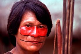 Indigenous rights defenders at risk