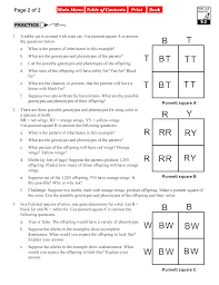 Some of the worksheets for this concept are punnett squares answer key punnett square work bikini. Bikini Bottom Genetics Review Answers Incomplete Dominance