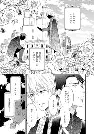 Japanese Yaoi BL Manga Comics SAKUMOTO AYU Reincarnation Idol & Idol  Freak Night | eBay