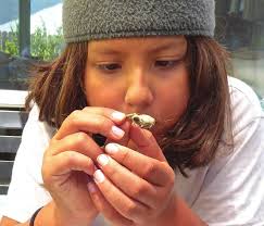 LDSR Annual Report FY 19-20.indd