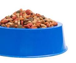 Natural balance dog food coupons 2021. Natural Balance Dog Food Archives The Dogington Post