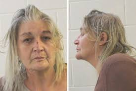 Lilla Holcomb — Houston County Jail Bookings