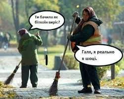 Мем имел картинку одной из этих собак с разноцветным, комиксовым текстом на ломанном английском. Vspominaya 2017 Luchshie Memy Kriptosoobshestva Forklog