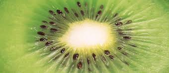 Feel the kiwi and choose one that's firm to the touch. Kiwifruit Te Ara Encyclopedia Of New Zealand
