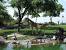 Busch Gardens Tigris