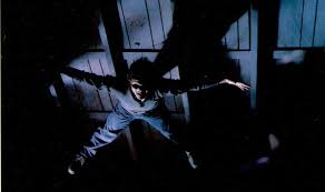 A Bug in the Brain: Amityville II: The Possession