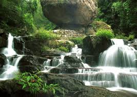 Shell Harbour National Parks National Park Photos Visit Sydney