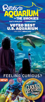 No trip to gatlinburg is complete without a stop at the ripley's aquarium. Ripley S Aquarium Of The Smokies In Gatlinburg