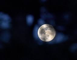 Mystischer Skorpion-Vollmond: Warum du jetzt alte Lasten loslassen solltest