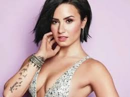 Você Sabe Tudo Sobre A Demi Lovato?