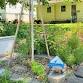 Join the Eco-Yard Movement in Our Neighborhood