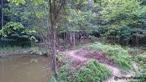Ayer hitam forest reserve yakınındaki oteller. Travel Malaysia 2 Ayer Hitam Forest Reserve Steemit