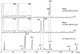 Image result for Jamesbrittenia fodina × huillana