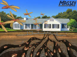 Cracked or distorted paint on wood surfaces. How Do Termites Get Into Your Home Massey Services Inc