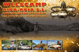 In spanien wurden viele photovoltaikanlagen beschädigt.: Welscamp Spanien Home Facebook