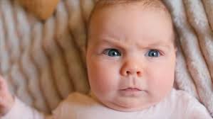 World population up 75 million this year