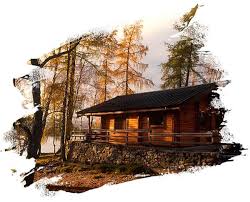 Znalezione obrazy dla zapytania log