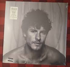 LP Vinyl Records Shawn Mendes