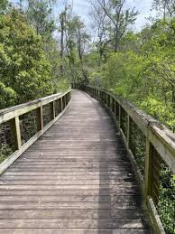 Tree Hill Nature Center Trails, Florida