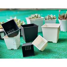 Give them a quick and easy makeover with two cans of spray paint and a little bit of creativity. Square Pot Plastic Flower Pots Is Succulents Cactus Plant Pot Flower Pots Shopee Singapore