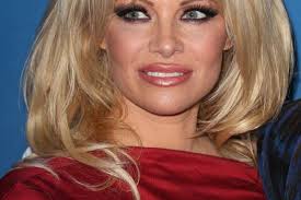 Informații despre pamela