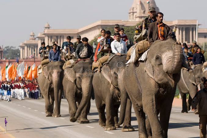 Elephants on Republic Day Parade Editorial Photography - Image of india, elephant: 4406597