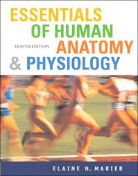 Elaine marieb, simone brito 253 anatomy and physiology coloring workbook pdf. Essentials Of Human Anatomy Physiology By Elaine N Marieb