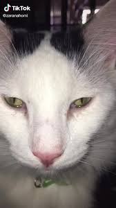 Maybe you would like to learn more about one of these? Michis Tristes Otra Vez El Muchacho De Los Ojos Tristes
