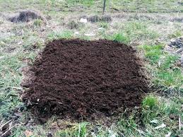 Mainly, preparing a new garden bed means preparing the soil. My Very Lazy No Dig No Till No Weeding Garden Bed Prep Method Peakd