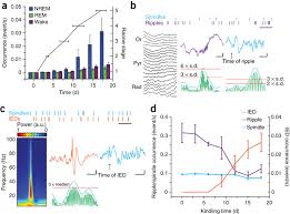 نتیجه جستجوی لغت [discharges] در گوگل