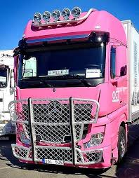 Epingle Par Nikola Haralambov Sur Truck Mercedes Camion