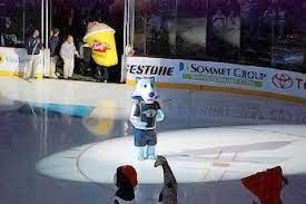 Gnash is the mascot for the nashville predators. What S Behind The Nashville Predators Mascot