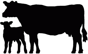 Download Running Horse Herd Silhouette Clipart Panda Free Clipart Images Cow Silhouette Silhouette Clip Art Silhouette Art