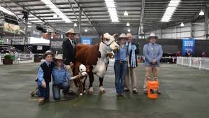 We did not find results for: A Slight Edge In Structural Correctness Gives Hereford Heifer The Edge Stock Land Victoria