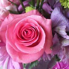Zip codes in jackson, ohio. Elizabeth S Flowers Florist Jackson Ohio Facebook 2 927 Photos