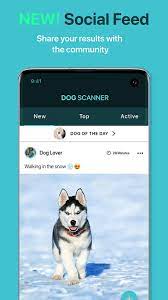 Descarga el apk para android de tiny scanner pro: Dog Scanner V12 1 0 G G Apk Mod Premium Unlocked Download