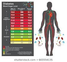 Glucose Levels Charts Stock Illustrations Images Vectors