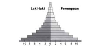 Berdasarkan data yang dikutip dari cia world factbook, negara. Piramida Penduduk Fungsi Cara Pengertian Macam Expansif