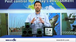 Some brands have pricing policies that restrict the prices that ace may sell or advertise their (i) be a member in good standing of the ace rewards program (for information on the ace rewards psychoacoustic jamming electronic pest animal and rodent repeller. Bird X Ms Trading